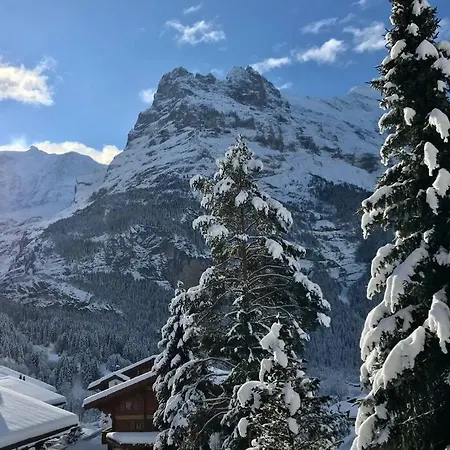 3,5 Kasa Bonaventura Apartment Grindelwald